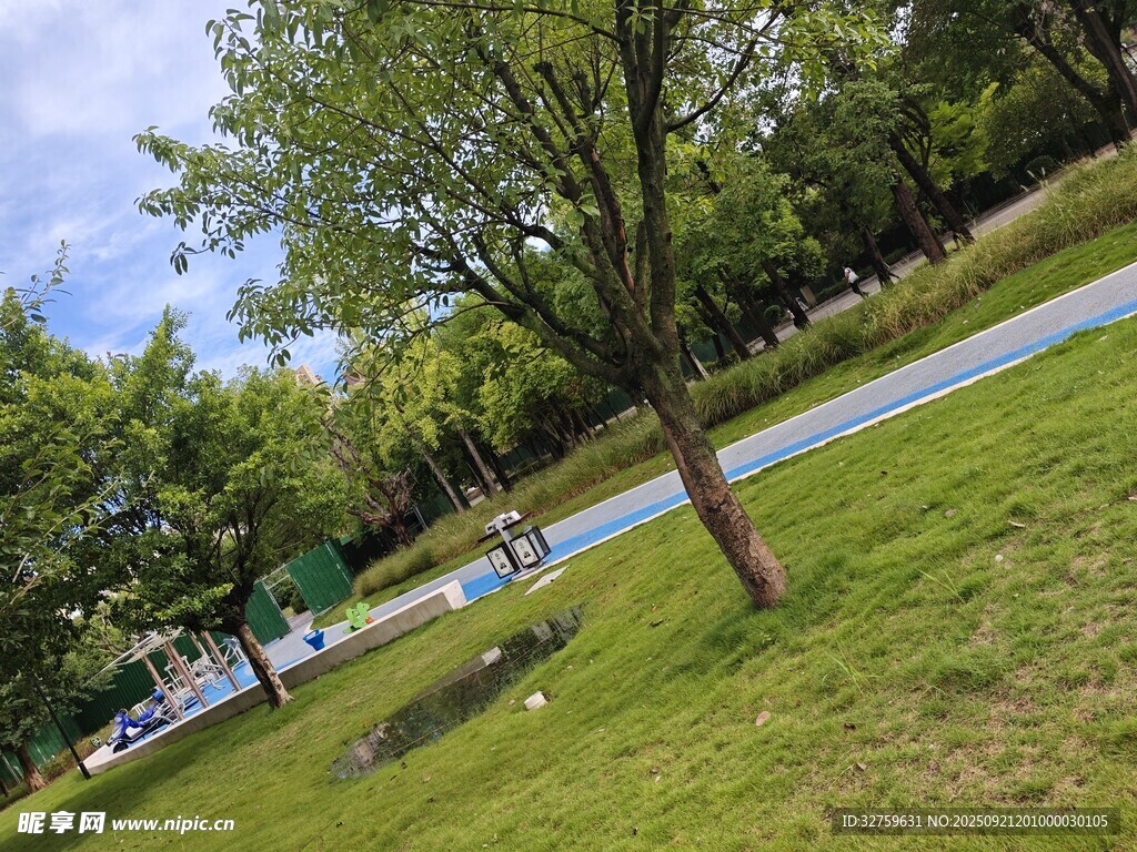 公园绿意盎然的休闲场景