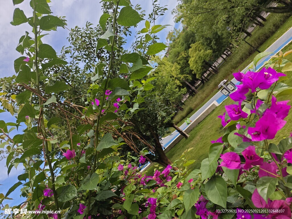 繁花绿树中的自然景致