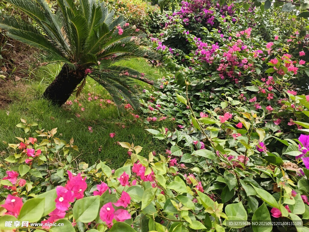 缤纷花卉与绿植景观