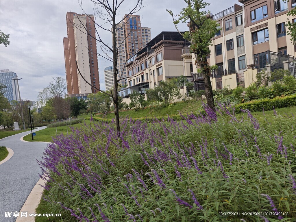城市路旁绿植与建筑景观