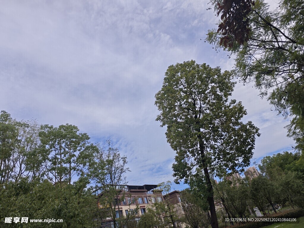 林间古建筑