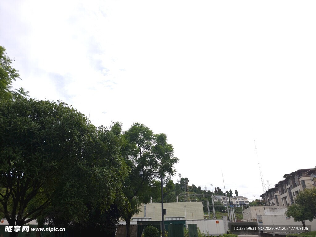 绿树环绕的建筑景观