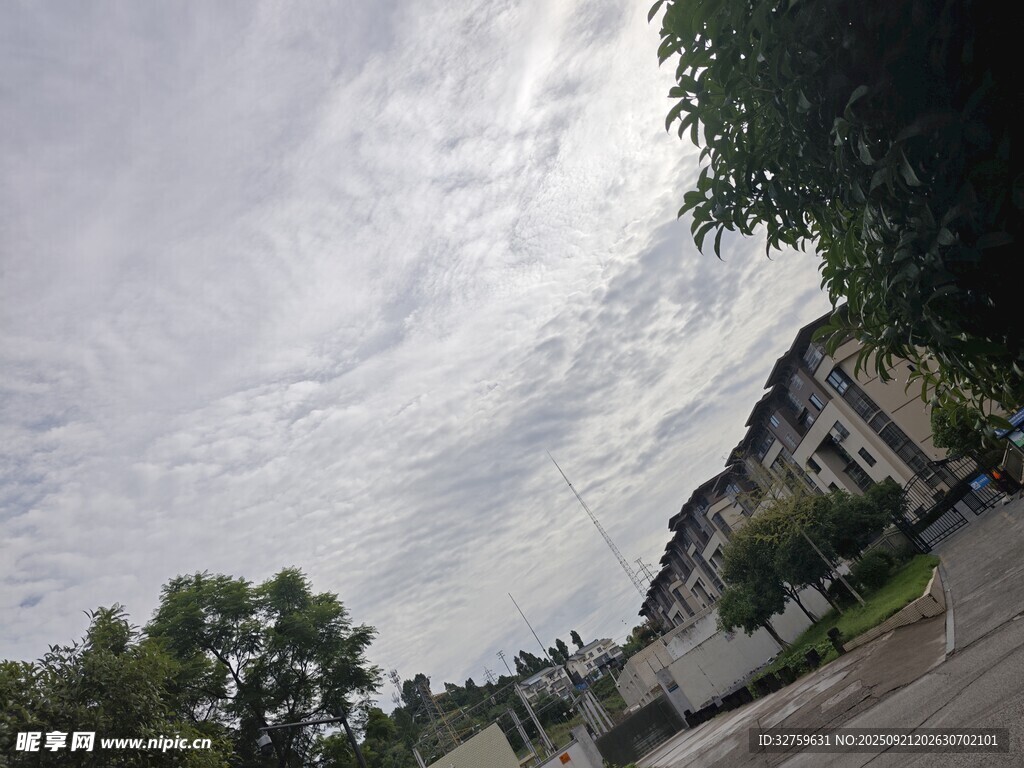 阴天街道旁的建筑与绿树