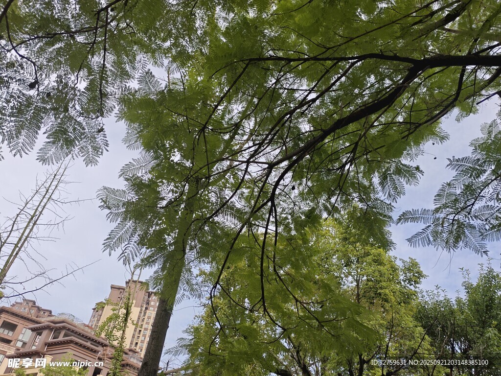 绿树掩映下的建筑一角
