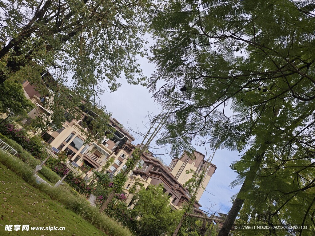 林间欧式建筑风景