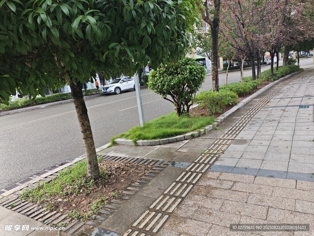 城市街边整洁的绿化步道