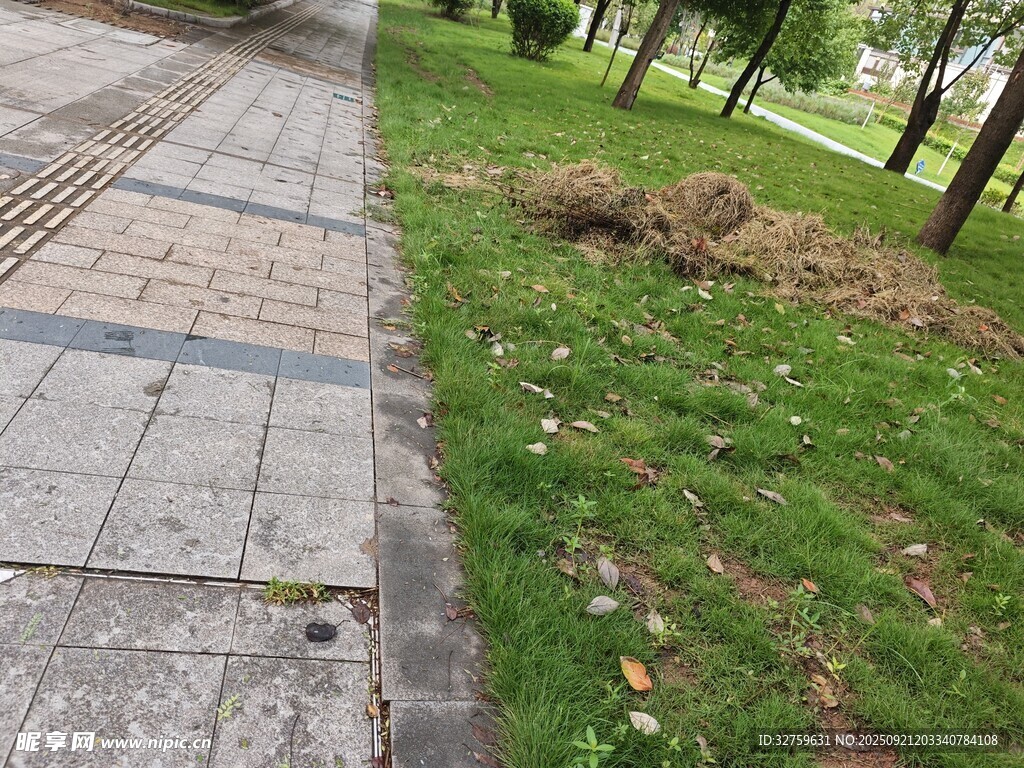 路边草地与砖石步道景观