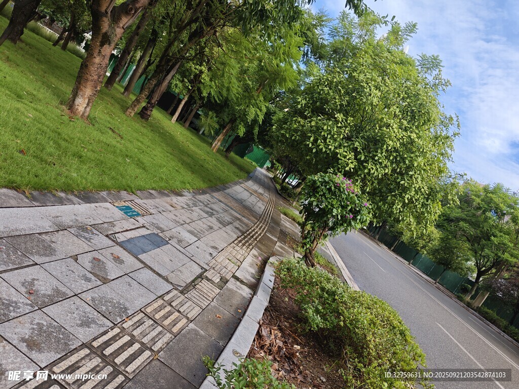 林荫步道