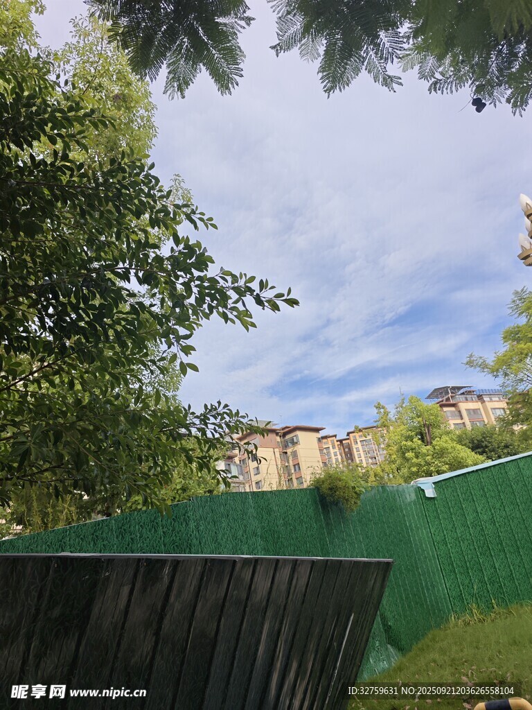 户外绿树围栏旁的景致