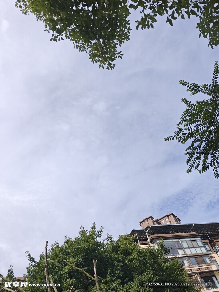 绿树掩映下的精致楼房