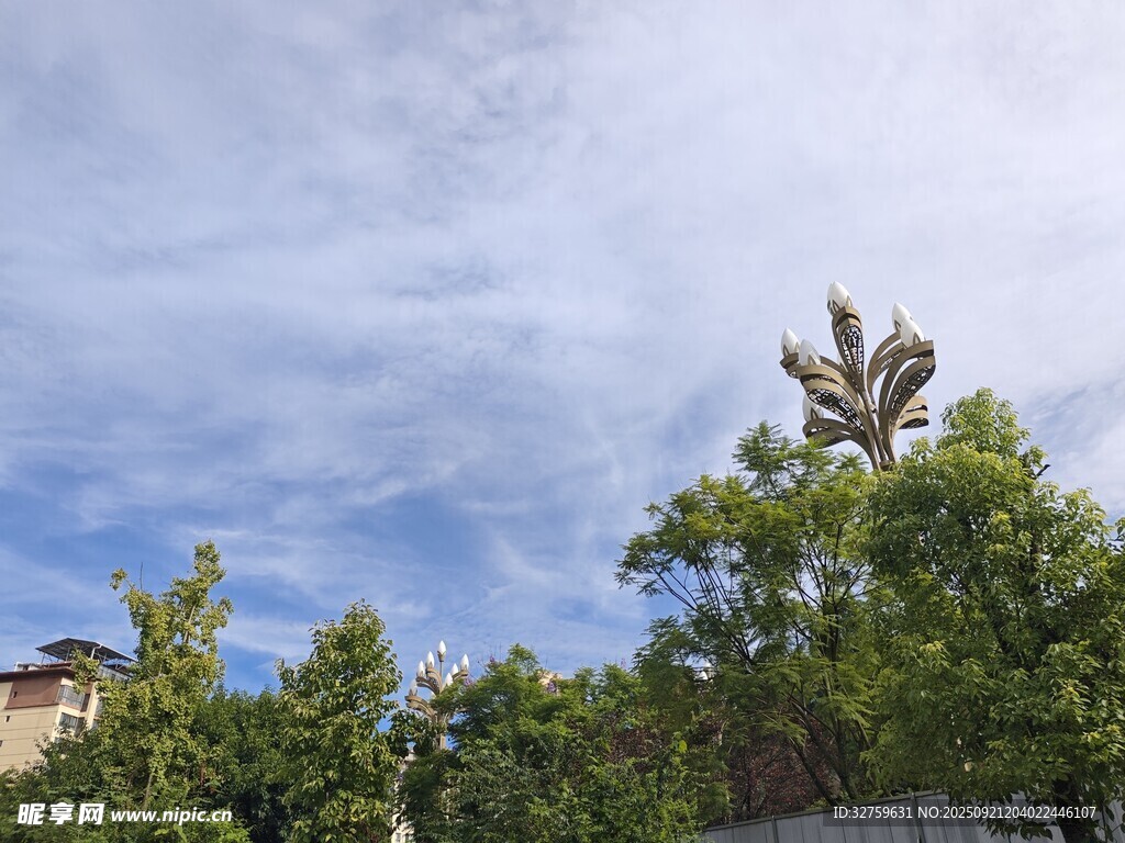 蓝天绿树风景