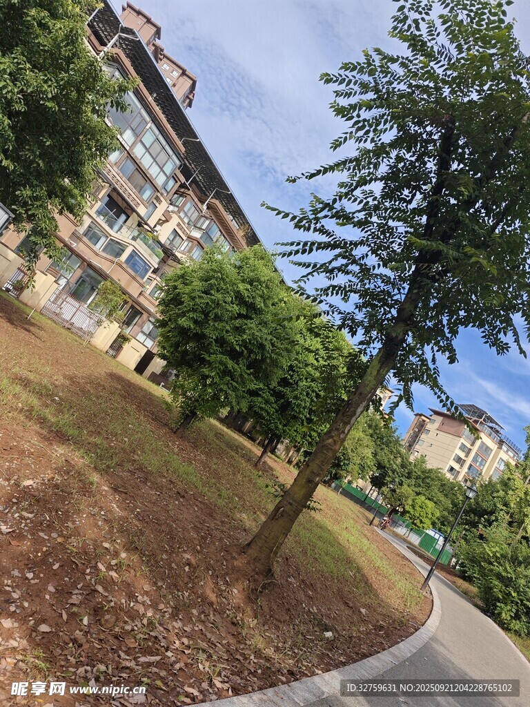 小区内的绿化景观