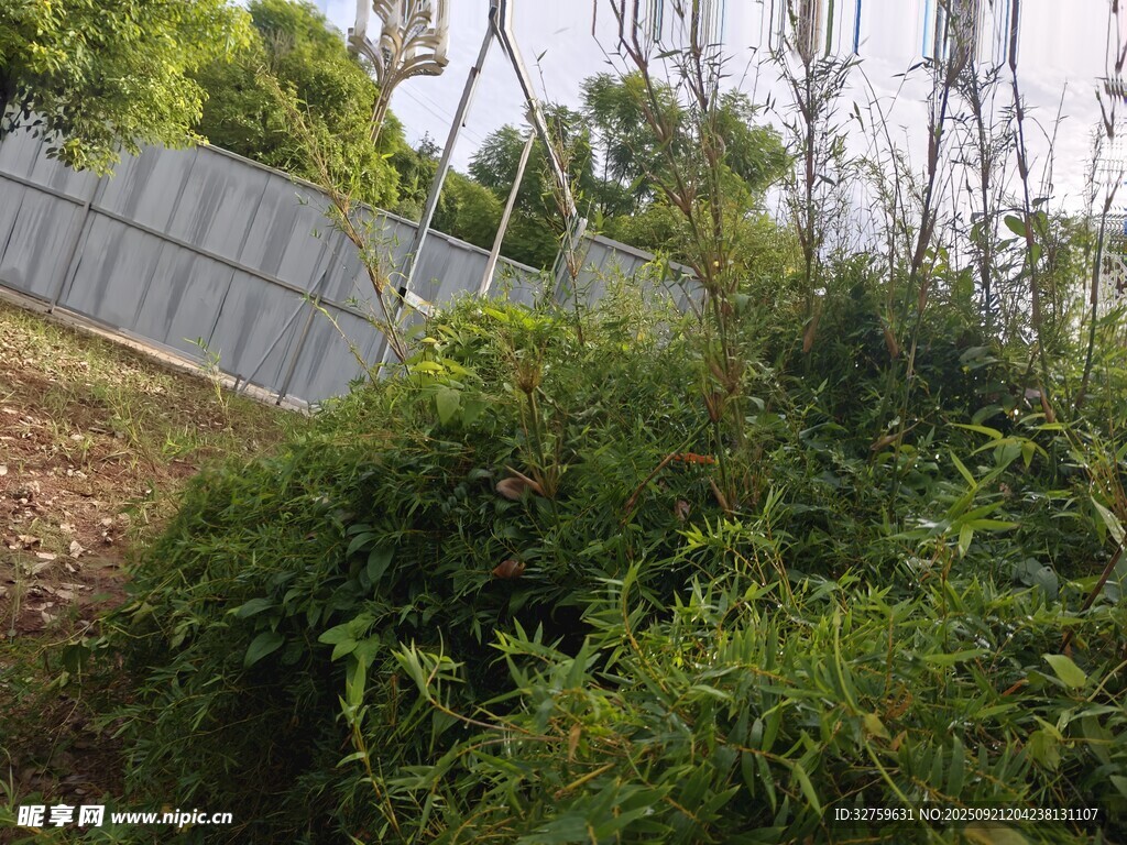 户外绿植与围栏景观