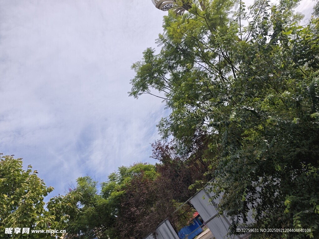 绿树掩映下的房屋一角
