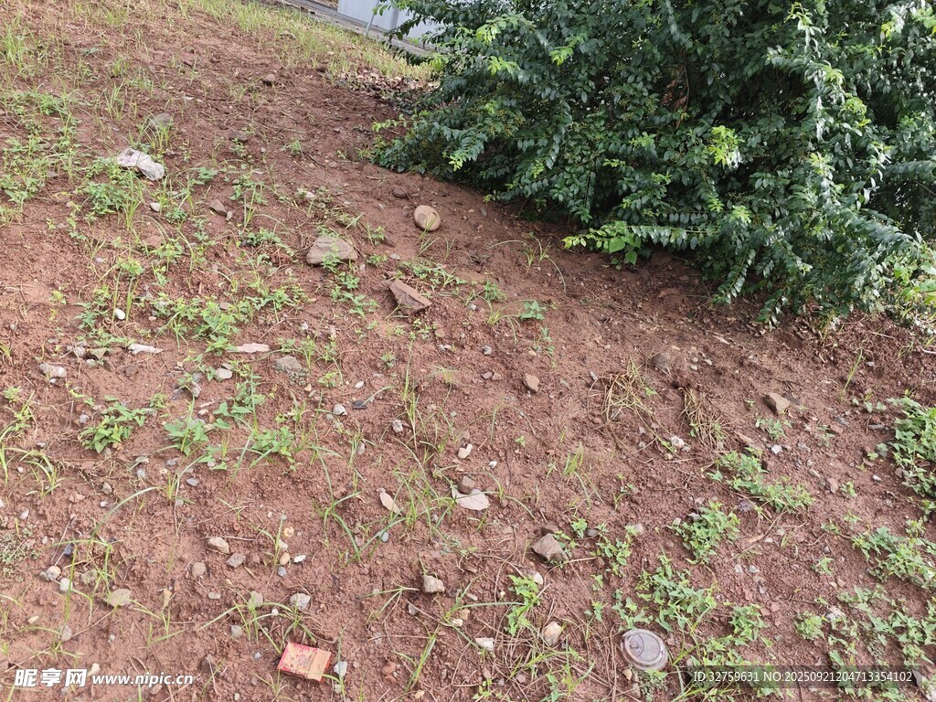 地面绿植旁的棕色土地