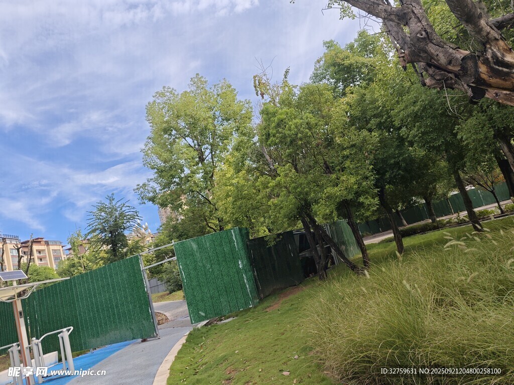 户外绿色围栏旁的自然景致