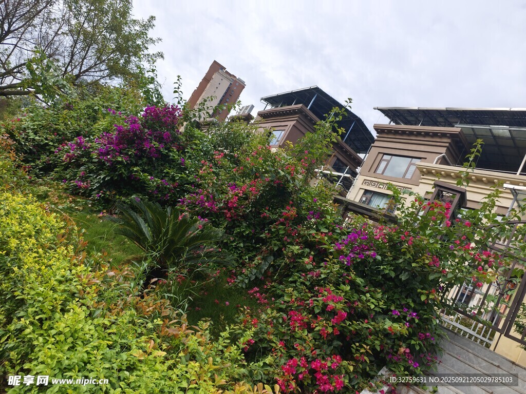繁花簇拥的中式雅致建筑