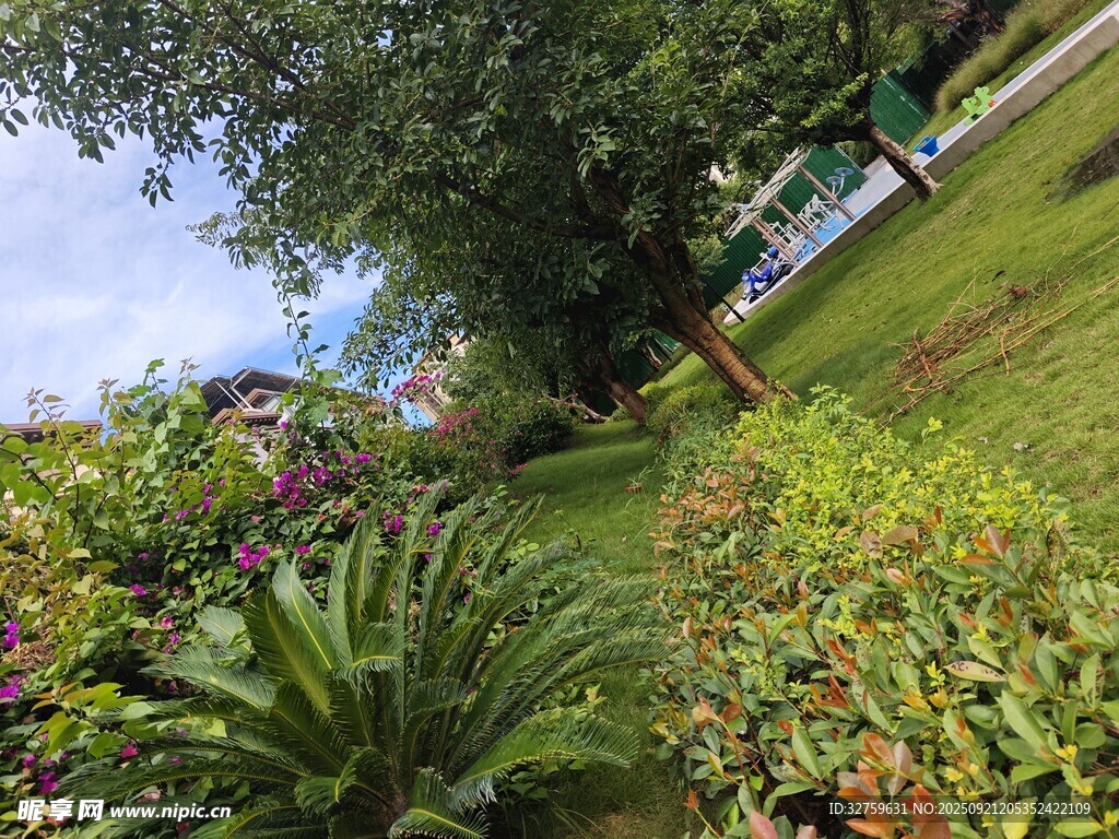 美丽绿植花园景致