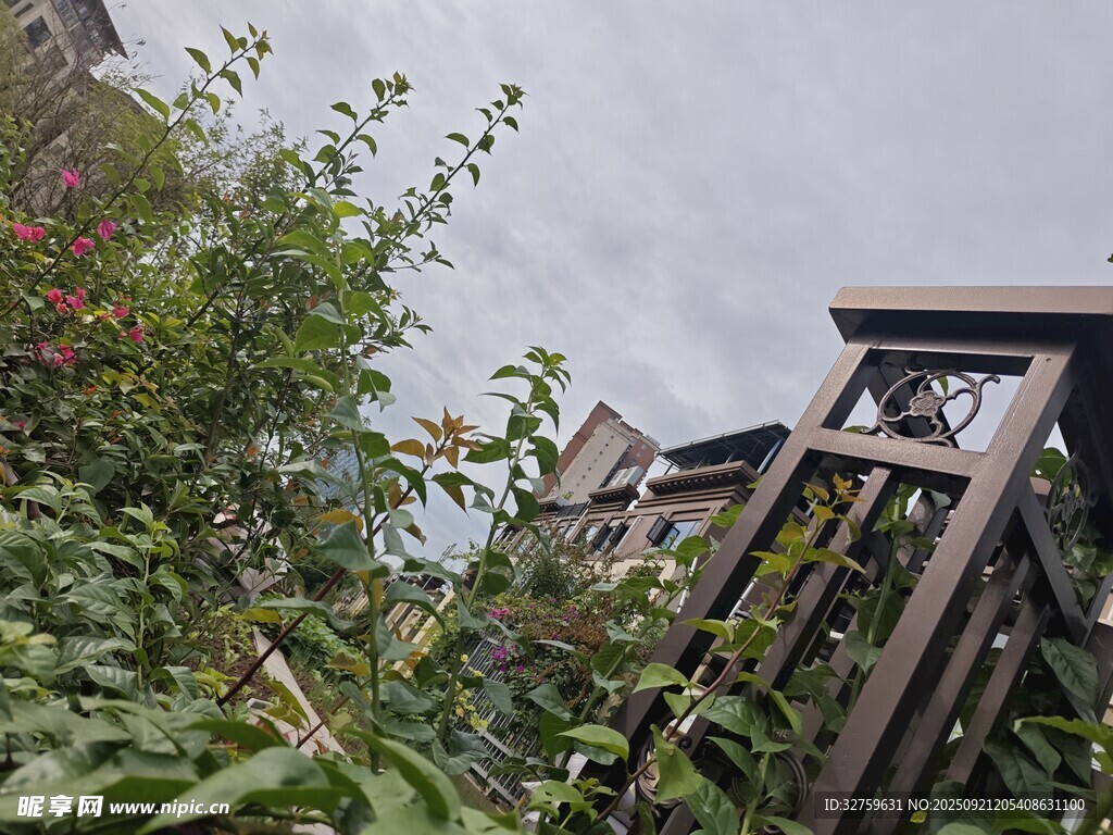 庭院绿植环绕的木质凉亭