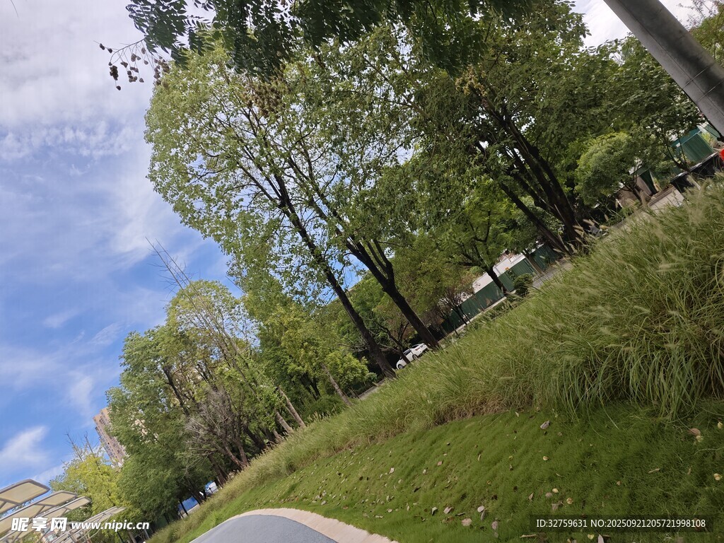 林间小道