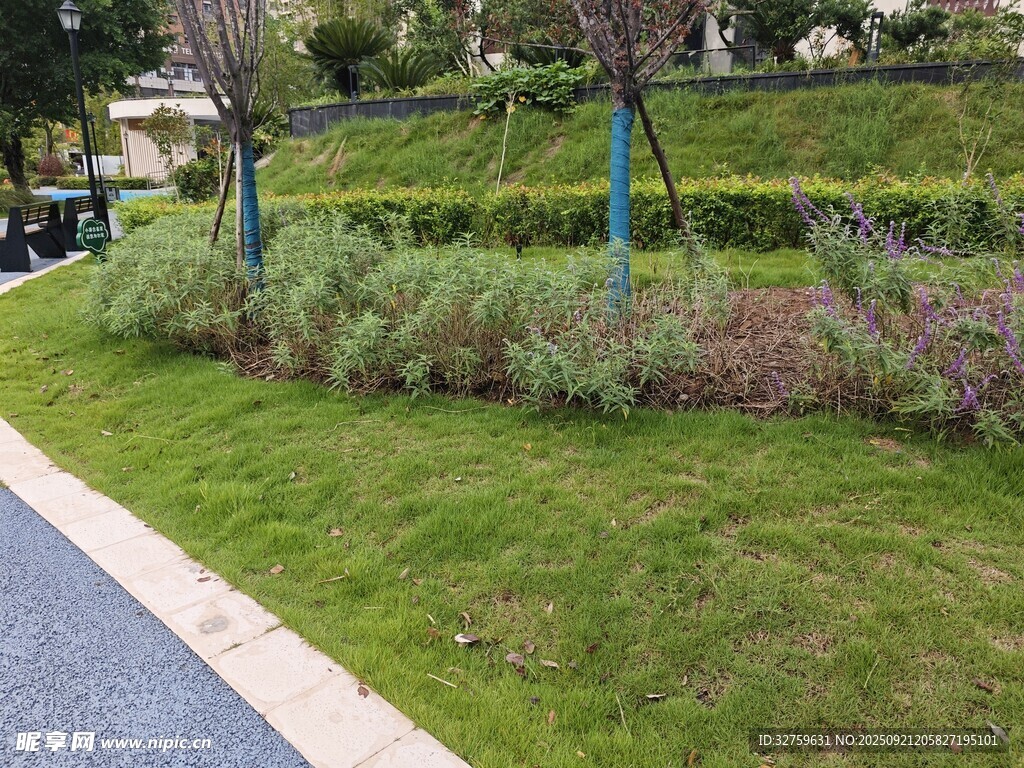 路边多彩绿植景观