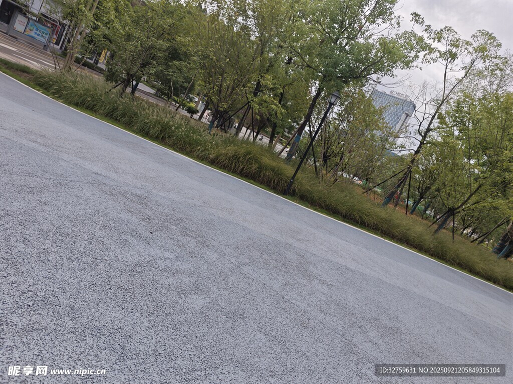 空旷林间水泥路