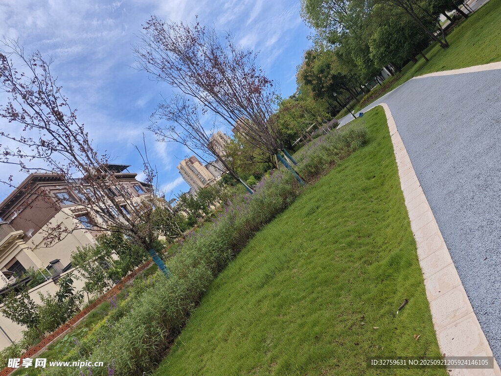 小区旁的绿化道路景观