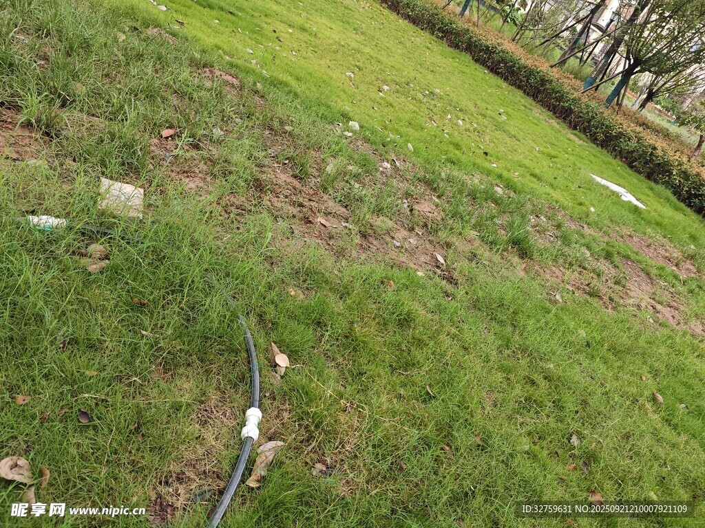 户外草地场景中的物件