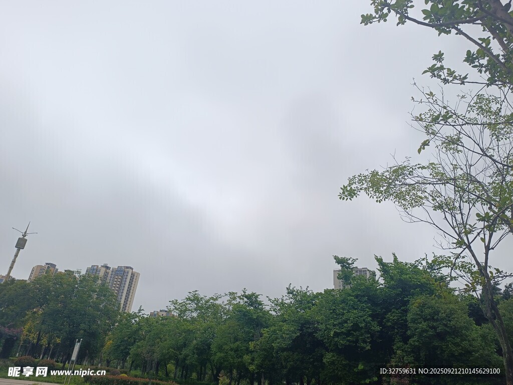 阴天的户外绿植景观