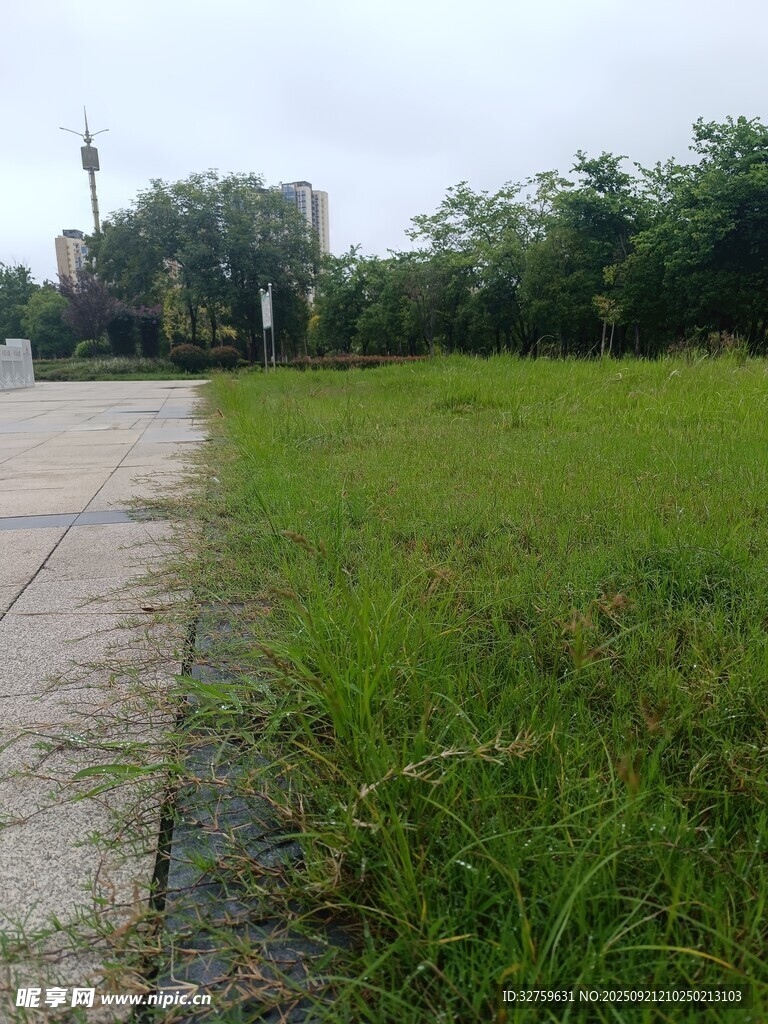 户外草地旁的水泥道路