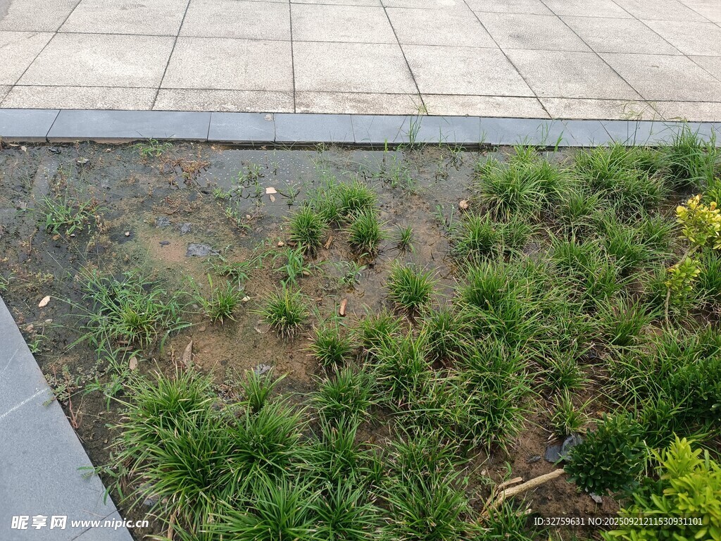 户外绿植景观一角