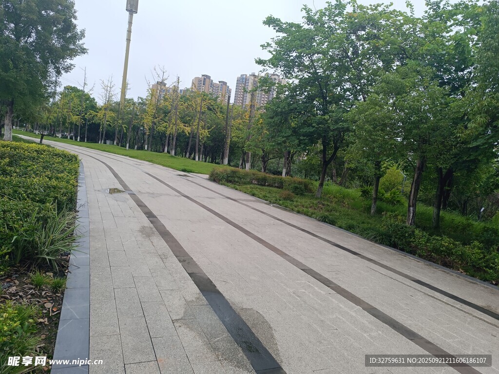 城市林间的静谧步道
