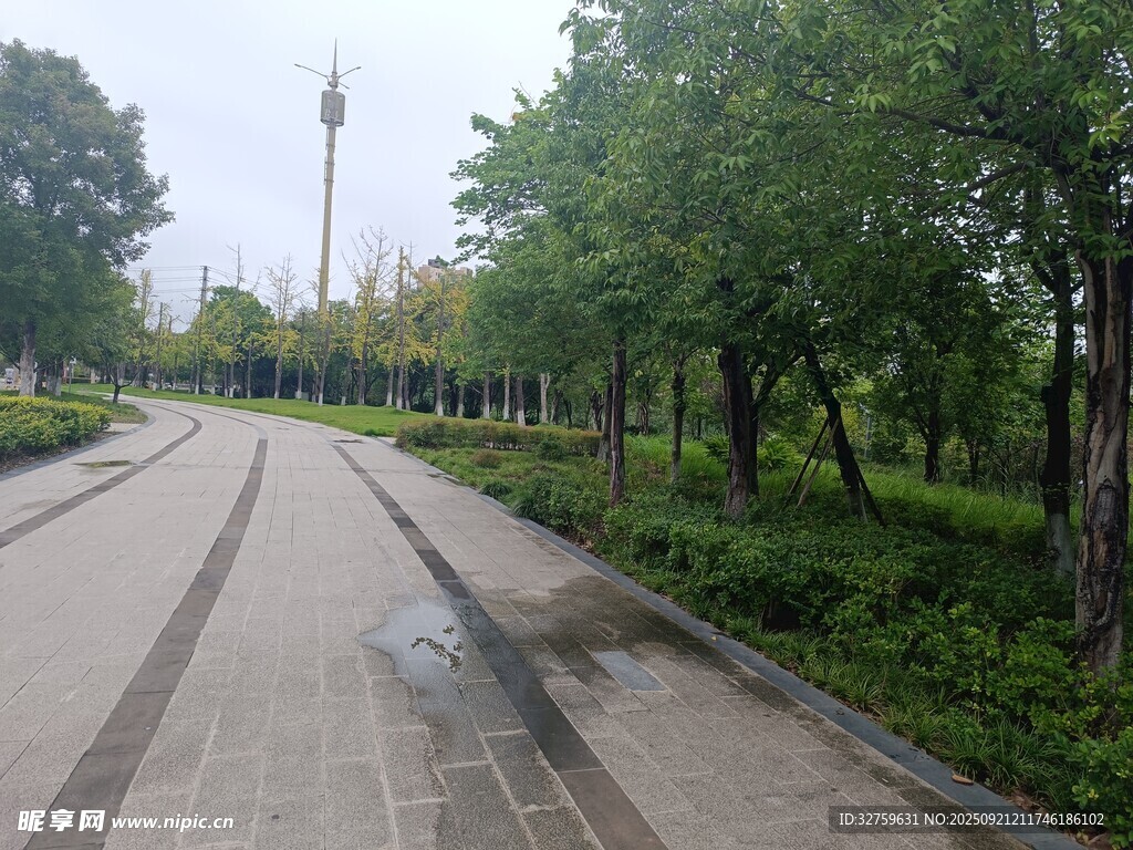 雨后公园林荫步道