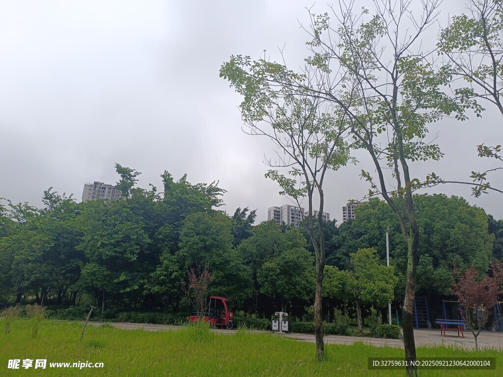 公园绿意盎然的景致