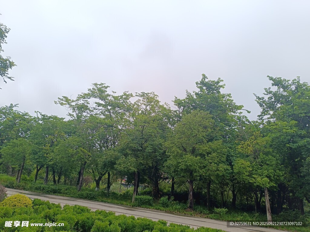 林间小路 