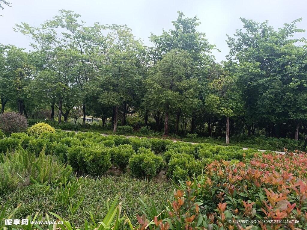 绿意盎然的园林景观