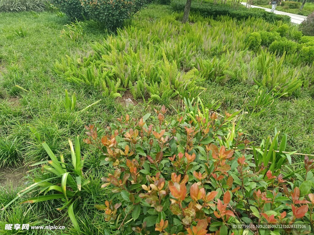 多彩绿植景观