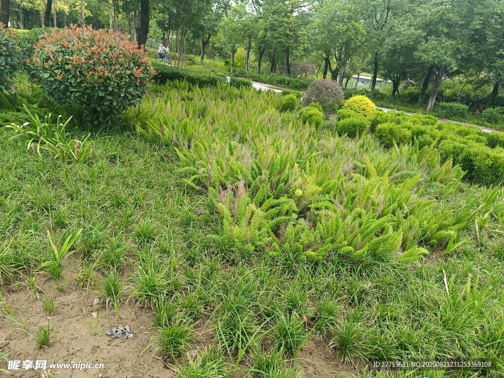 绿意盎然的户外园林景观