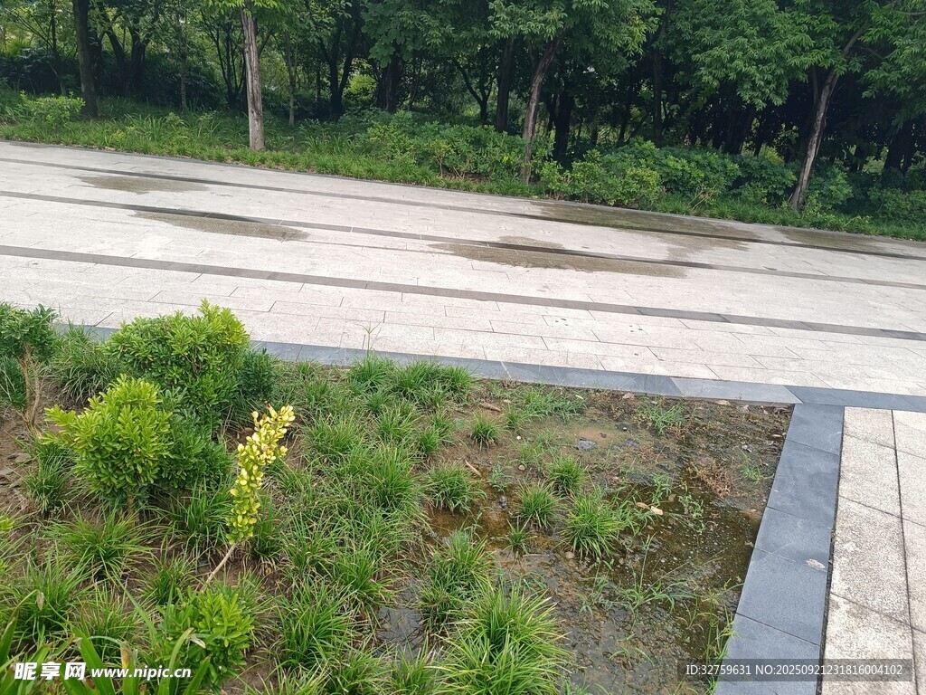 户外的绿植与道路景观
