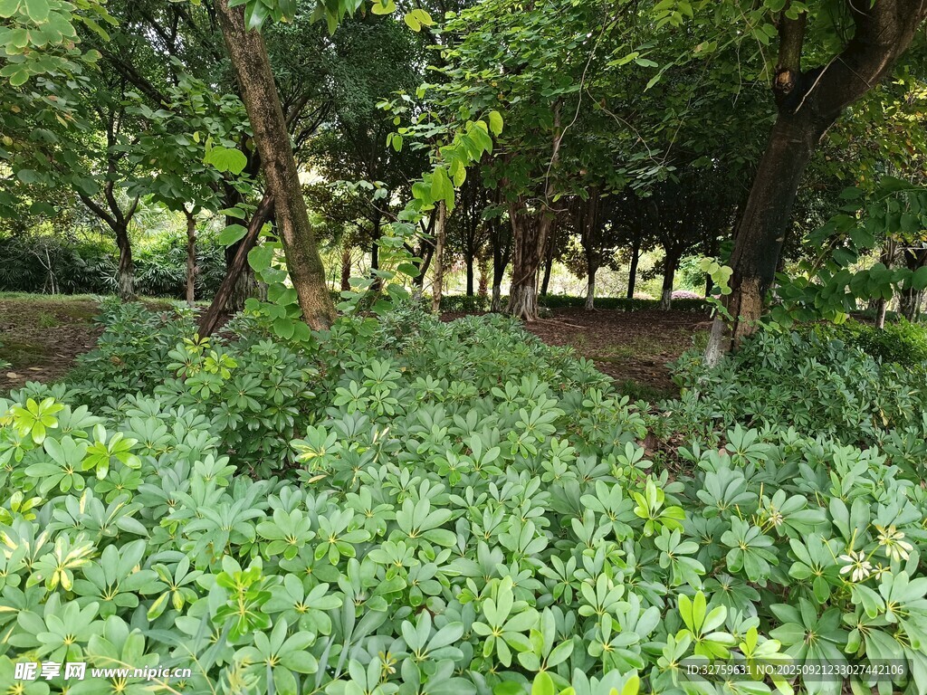 繁茂绿植环绕的静谧角落
