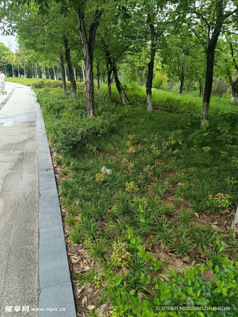 林间漫步道