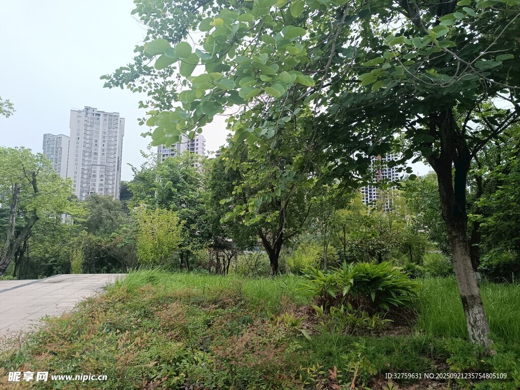 城市中的绿意小径