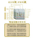 皮肤结构分层
