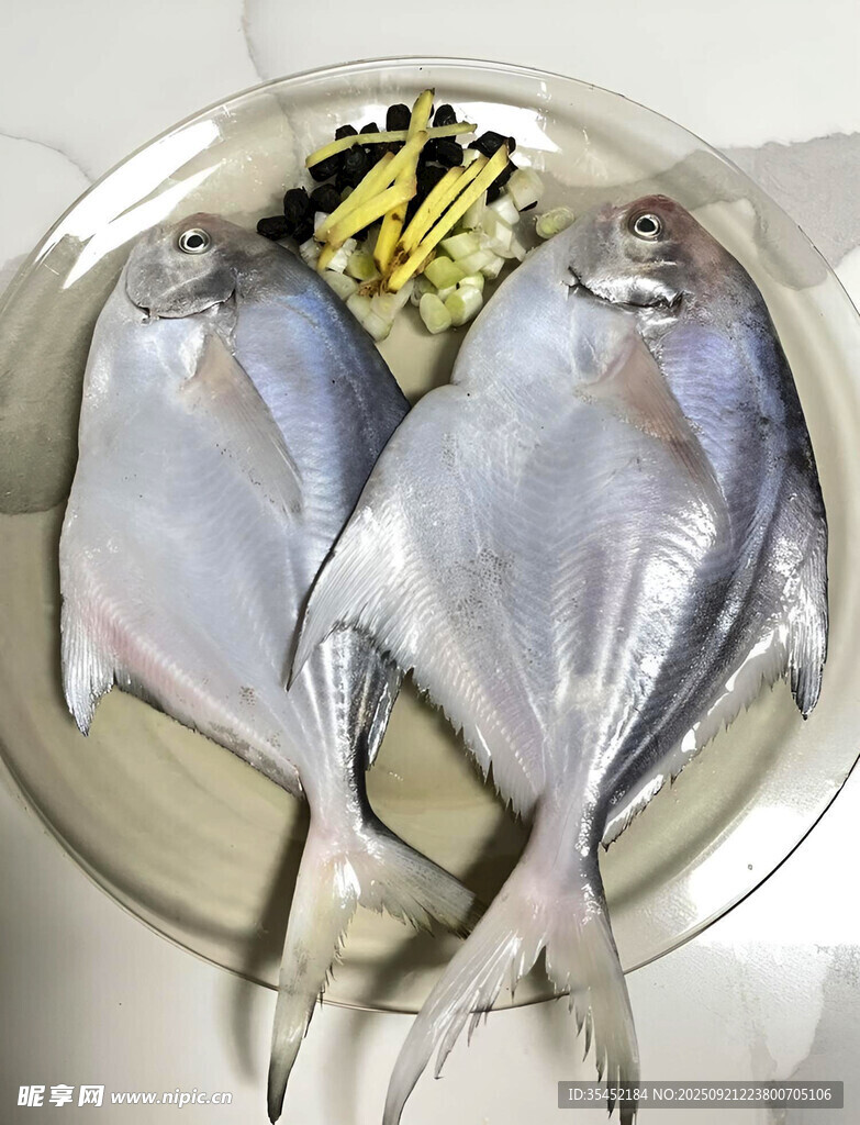 鲳鱼