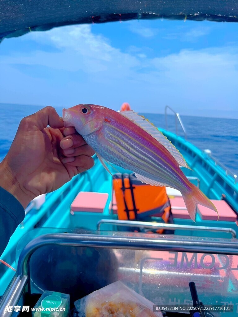 金线鱼 