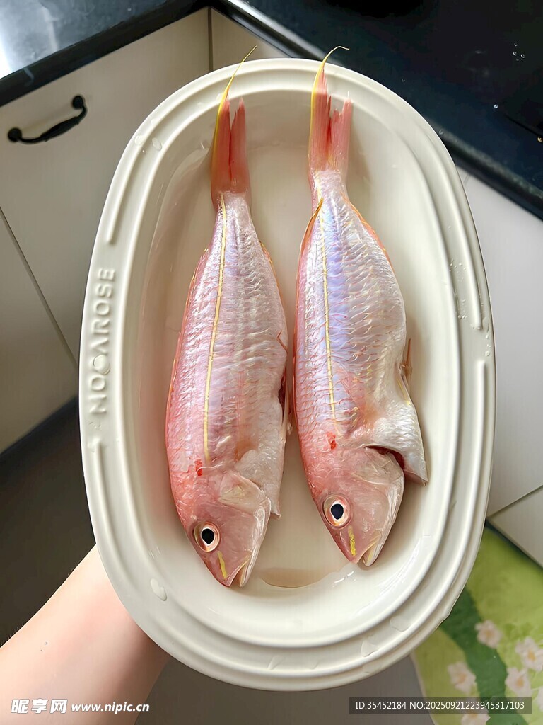 金线鱼