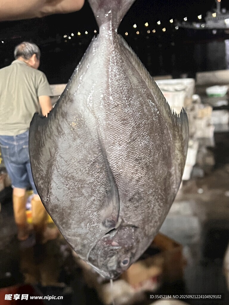 海鱼