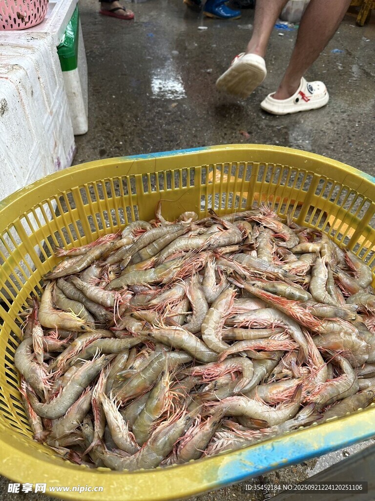 对虾