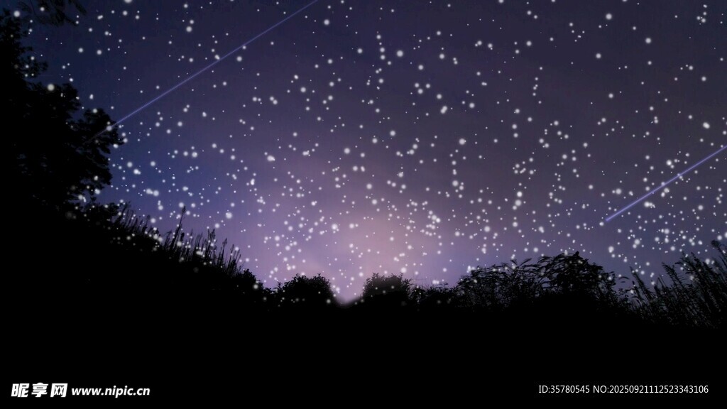 夜空繁星下的静谧树林