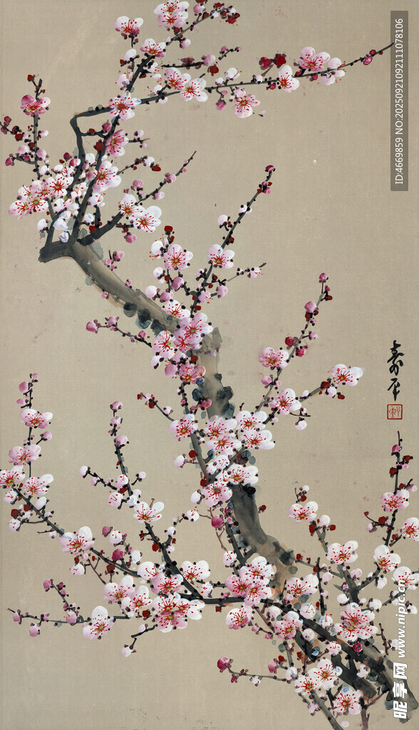 枝头绽放的粉嫩梅花